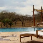 different pool shapes