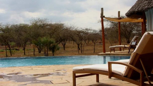 different pool shapes